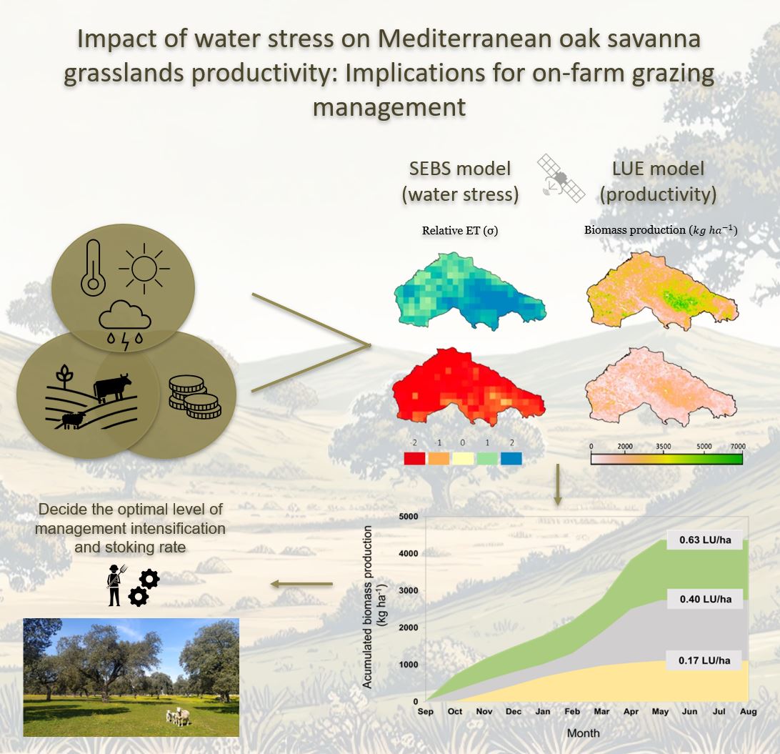 Muñoz-Gómez et al., 2024 Muñoz-Gómez, M. J., Andreu, A., Carbonero, M. D., Blázquez-Carrasco, Á., González-Dugo, M. P. (2024). Impact of water stress on Mediterranean oak savanna grasslands productivity: Implications for on-farm grazing management. Agricultural Water Management, 303, 109025. https://doi.org/10.1016/j.agwat.2024.109025