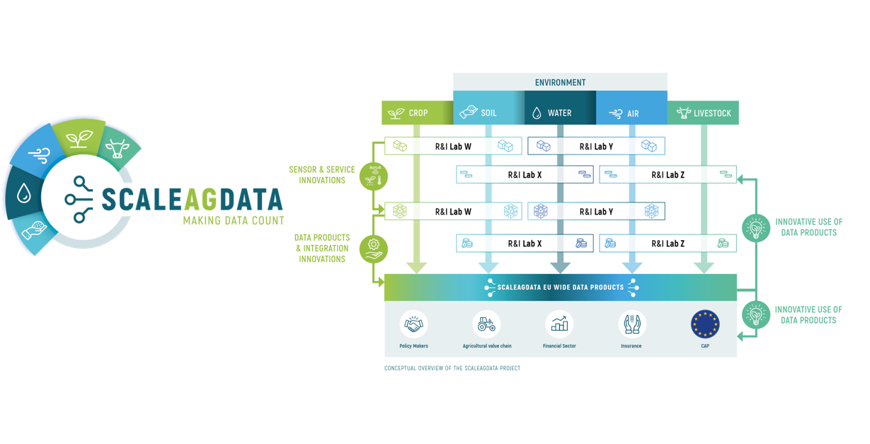 keyfigure ScaleAgData